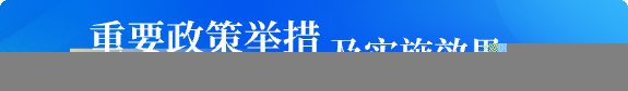 重要政策舉措及實(shí)施效果